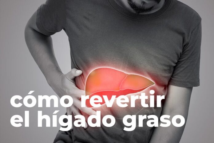 ¿Cómo revertir el Hígado Graso? 