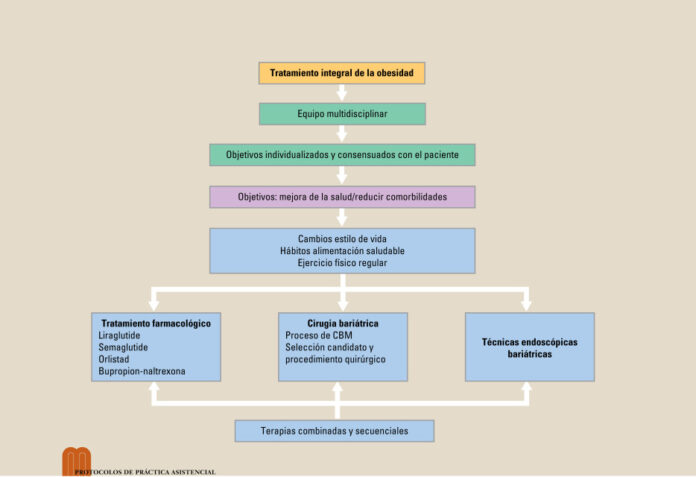Protocolo diagnostico y tratamiento integral de la obesidad...