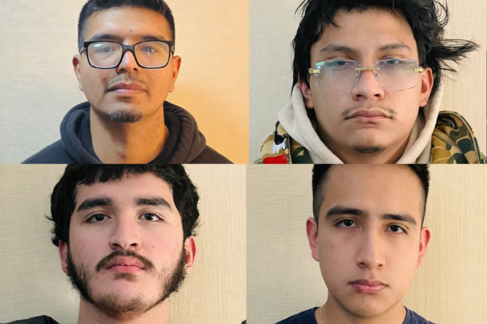 Arrestan a cuatro hispanos durante operación contra el tráfico de...