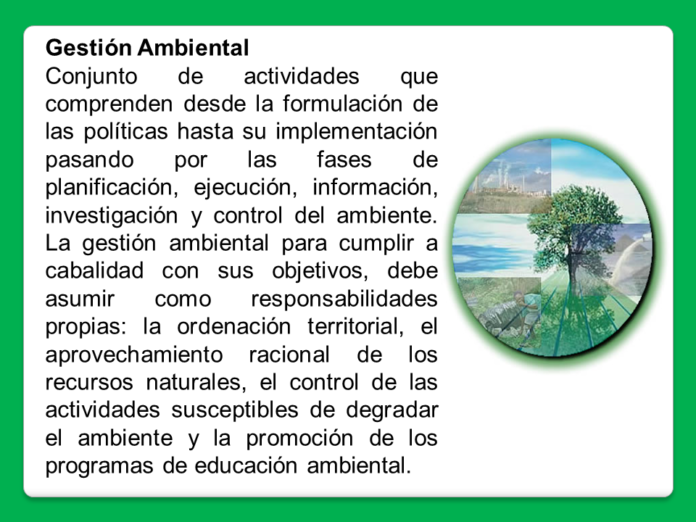 Voz Ambiental Tolentino: Gestión Ambiental