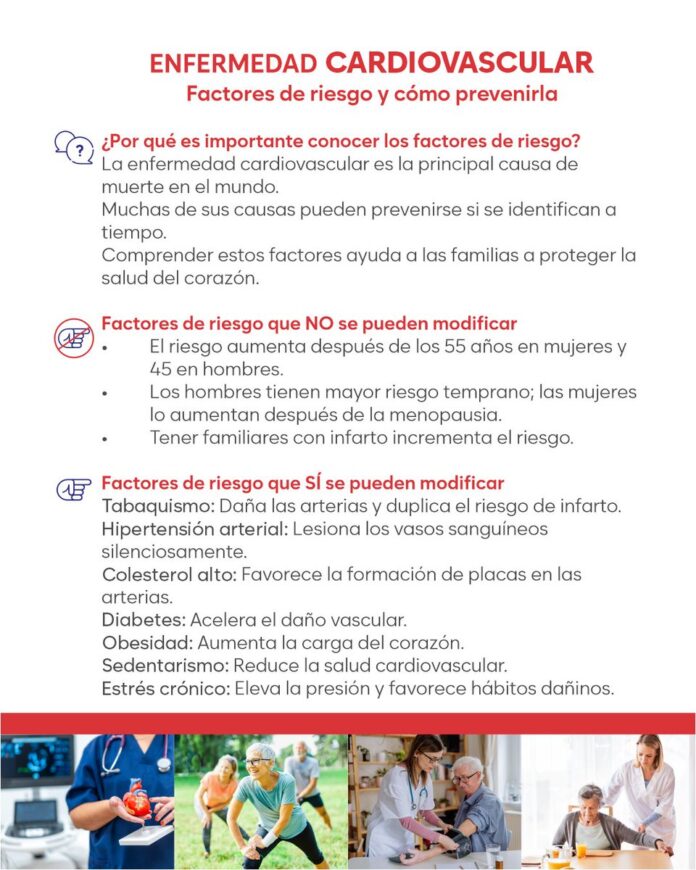 La prevención cardiovascular requiere información, seguimiento...