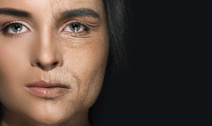 Detener el envejecimiento | 