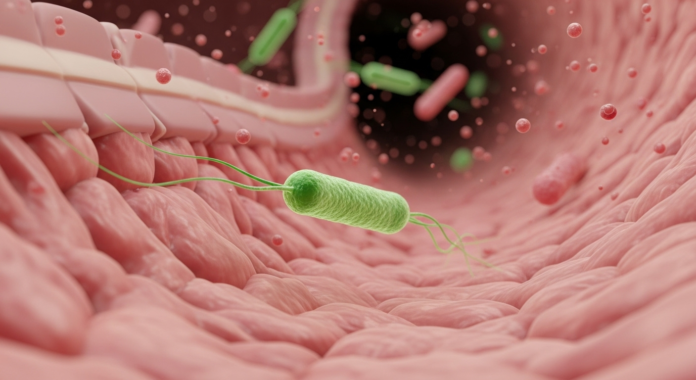 Cáncer de colon: descubren un virus que aumenta el riesgo de ...