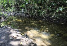 Testimonio de familiares sobre hallazgo de niño en cañada de San Cristóbal