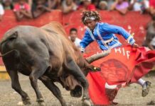 Corridas de toros posicionan a El Seibo como referente cultural y turístico nacional