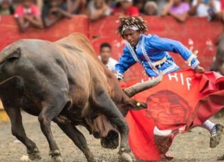 Corridas de toros posicionan a El Seibo como referente cultural y turístico nacional