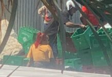 Accidente de patana provoca derrame de botellas y guacales en Plaza de la Bandera